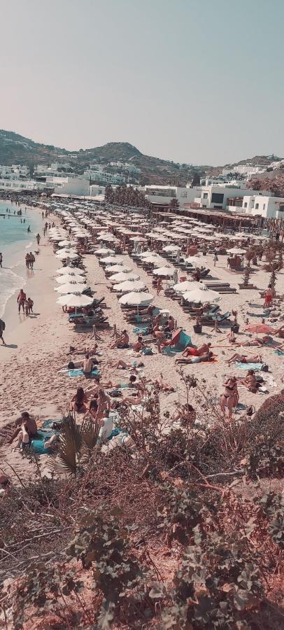 Demis Mykonos Stay 2 普拉迪斯亚罗斯 客房 照片